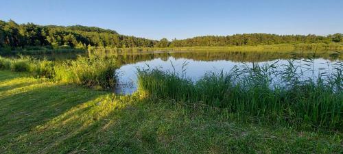 Apartm�ny Kousek Od Jezera