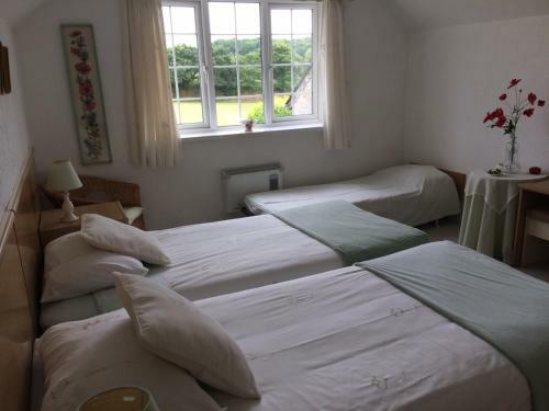Bed & Breakfast The Grange Accommodation, Waye Farm, Ermington, Devon