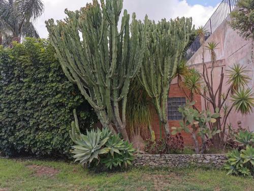 Bed & Breakfast Villa Grande