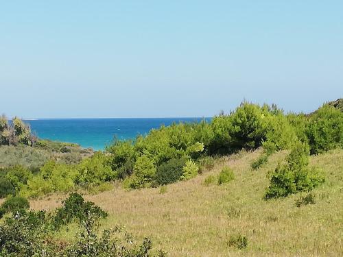 Bed & Breakfast Masseria Monache