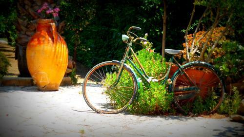 Bed & Breakfast Masseria Monache