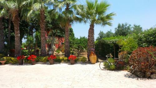 Bed & Breakfast Masseria Monache
