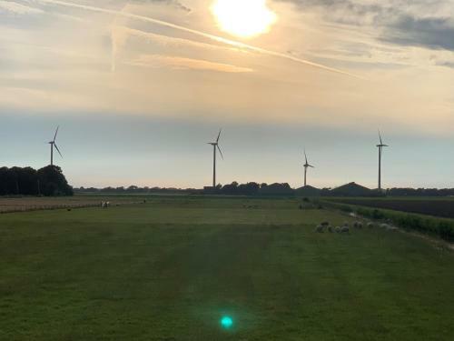 Vogel Vrij Woning