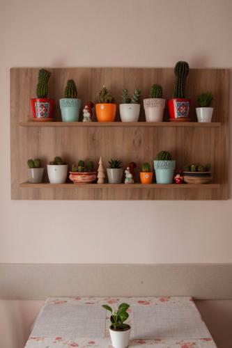 21 Cozy Apartament