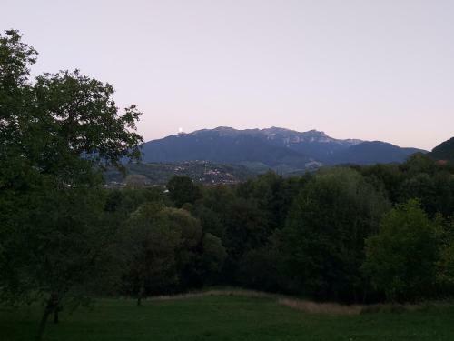 Hostal Pensiunea Bella Predelut