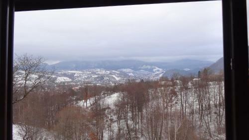 Hostal Pensiunea Bella Predelut