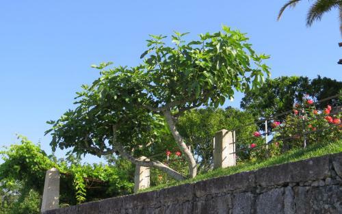 Quinta Do Coto Moinho