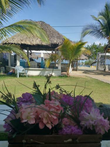 Hotel Caba�a Playa Danray