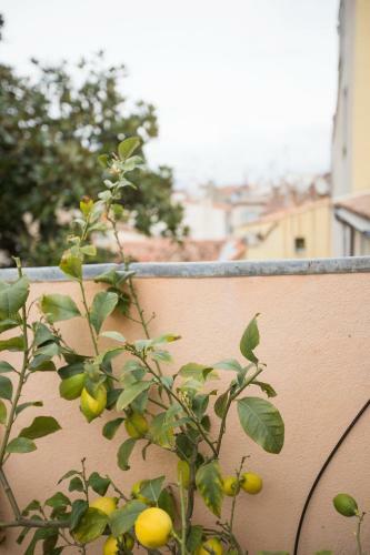 Apartamento Chateau Clemenceau