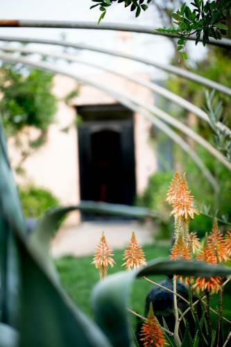 Hostal All Green House