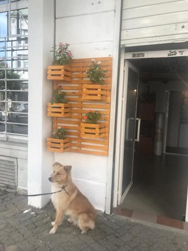 Apartamento Art Studio/ Atelier ???????