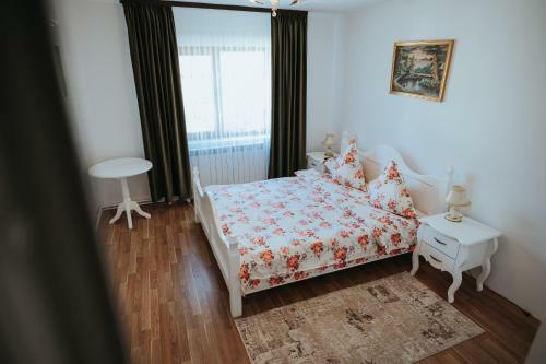 Hostal Pensiunea La Lenuta