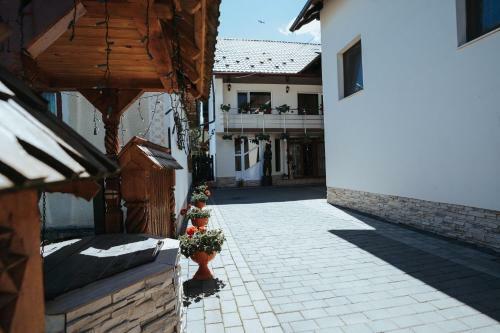 Hostal Pensiunea La Lenuta