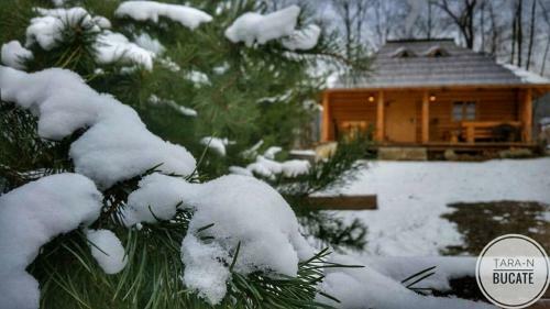 Agroturismo Pensiunea Mugur de Fluier