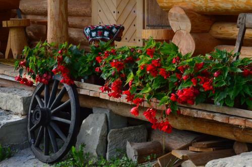 Agroturismo Pensiunea Mugur de Fluier