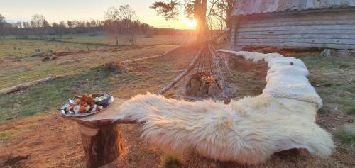 Bed & Breakfast Vittfarnas Vikingag�rd