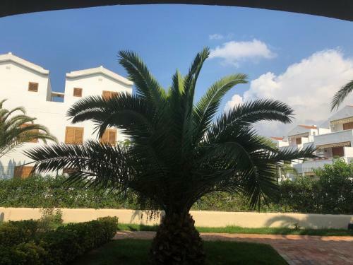 Apartamento Appartamento Tulip�n