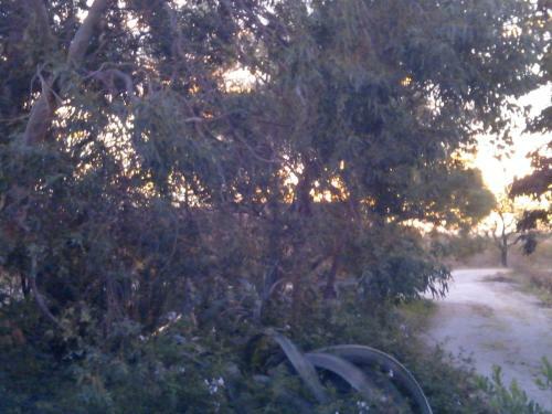 Bed & Breakfast Mas Soleil Et Vignes
