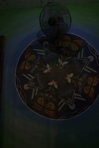 Firefly Backpackers Hostel