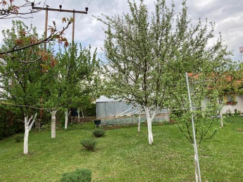 Apartamento Magnolija
