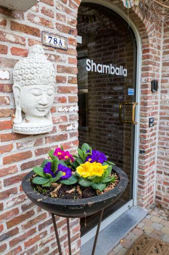 Hostal Shamballa B & B/ Logies