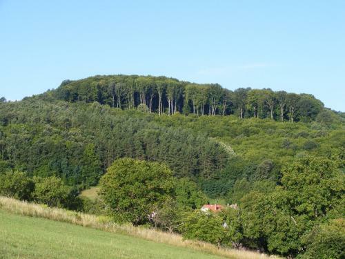 Bed & Breakfast Falub�r� Vend�gh�za