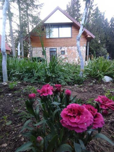 Larix Durmitores Apartments