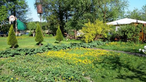 Dome Bungalow Niedras Jurmala