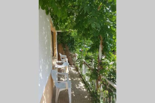 Apartamento Liberty House