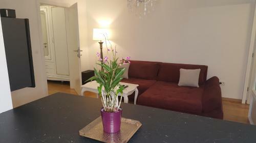 E&e Apartments 4* Arena Sto?ice