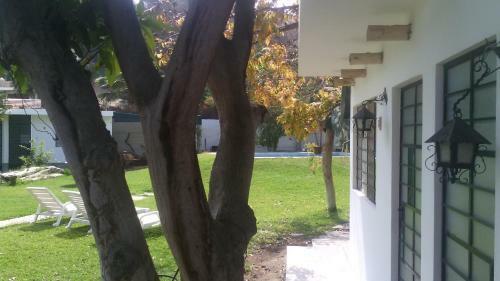 Do�a Carmen