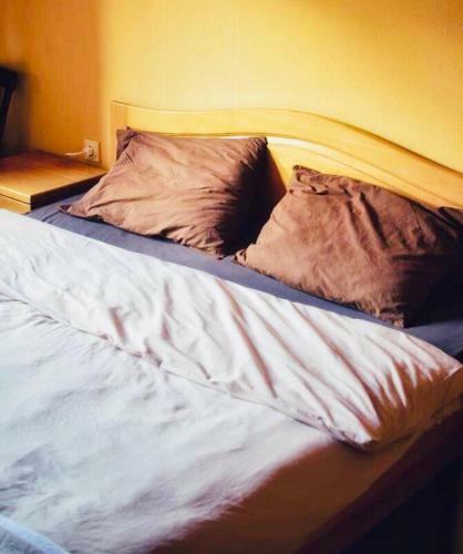 Motel Zlatna Ribka