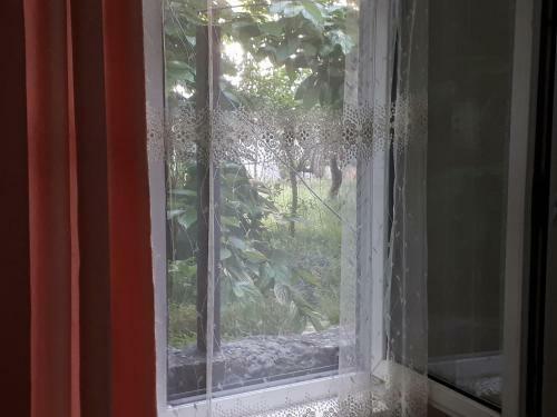 Hostal Guesthouse In Batumi