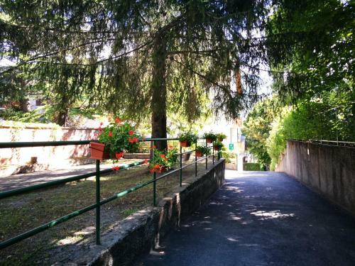 Apartamento In Centro , Ma A Due Passi Dal Bosco