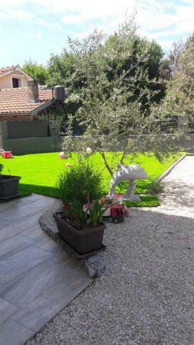 Apartman Nicolle