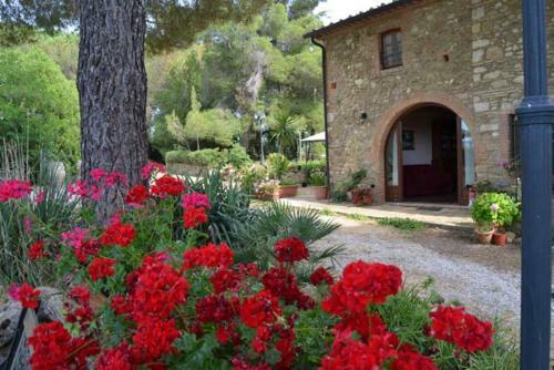 Apartamento Agriturismo Il Poderino