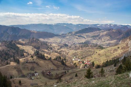 Lodge Cazare Antonia