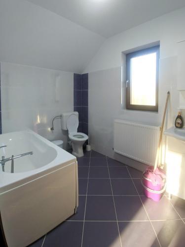 Lodge Cazare Antonia