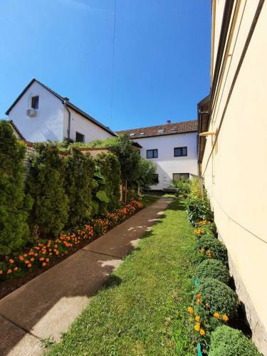 Apartmani Sunflower