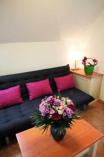 Apartment Pri Leju