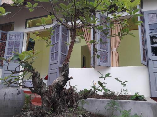 Ninh Binh Village 1990 Homestay