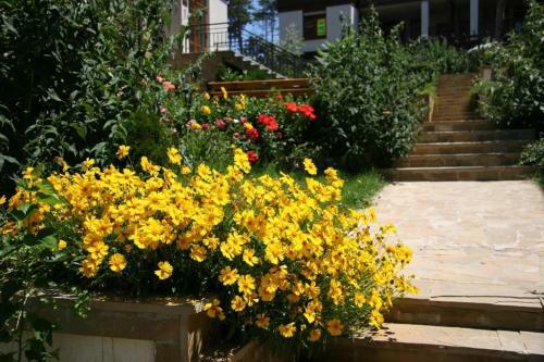 Santa Marina Sozopol Private Apartments