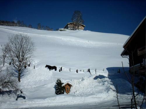 Agroturismo Viehhofbauer