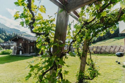 Apartamento Landhaus Theresia