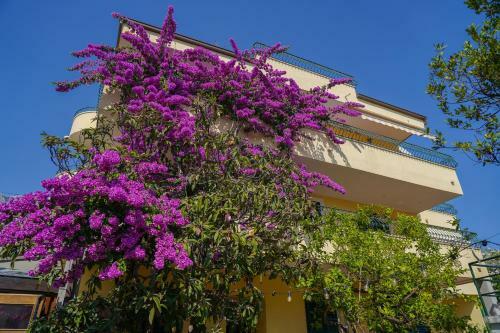 Apartamentos Villa Lean