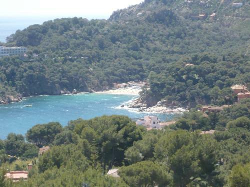 Apartamento Bravaholidays-24-sabanell Apt