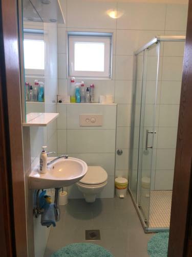 Apartmani Janja