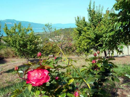 Luxurius Vila Lichada