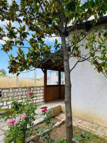 Tipica Casa Nella Campagna Italiana