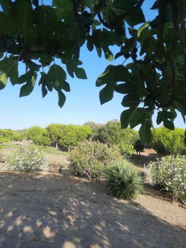 Monte Alentejano - Melides